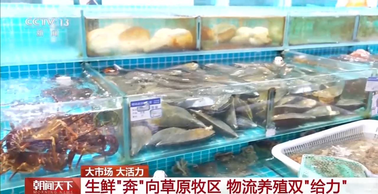 大市场大活力丨“五一”假日餐桌海鲜热度揭秘生蚝如何抢“鲜”出发？开云体育(图15)