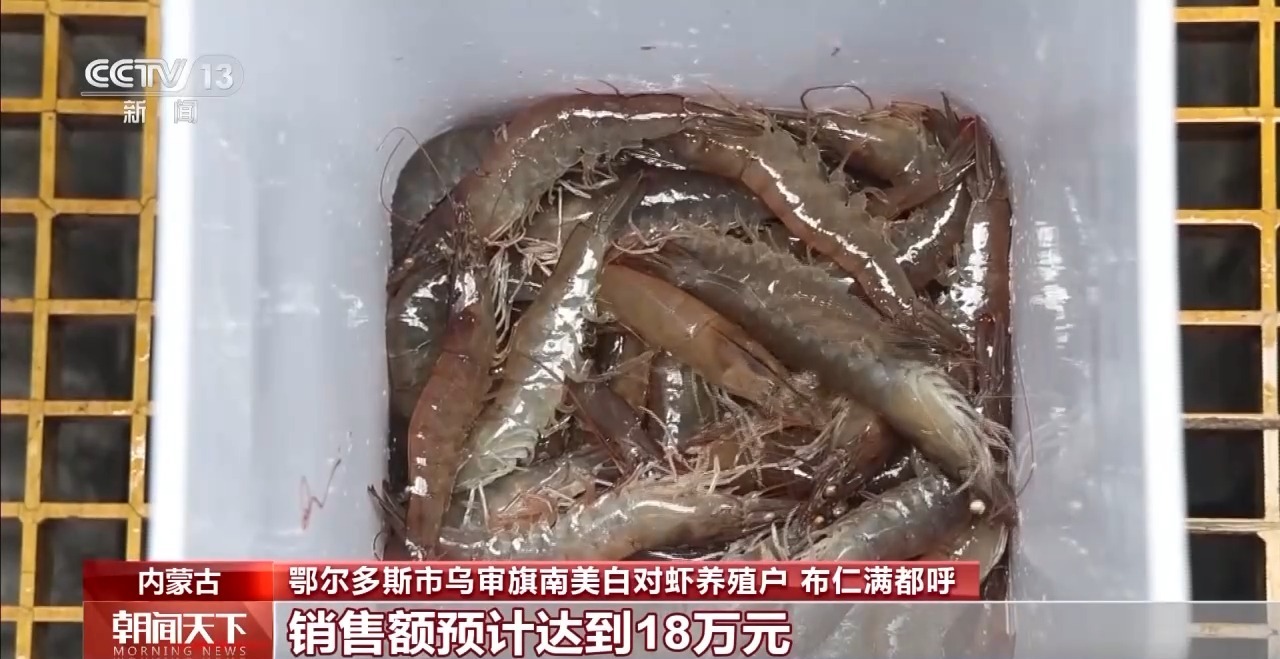 大市场大活力丨“五一”假日餐桌海鲜热度揭秘生蚝如何抢“鲜”出发？开云体育(图17)