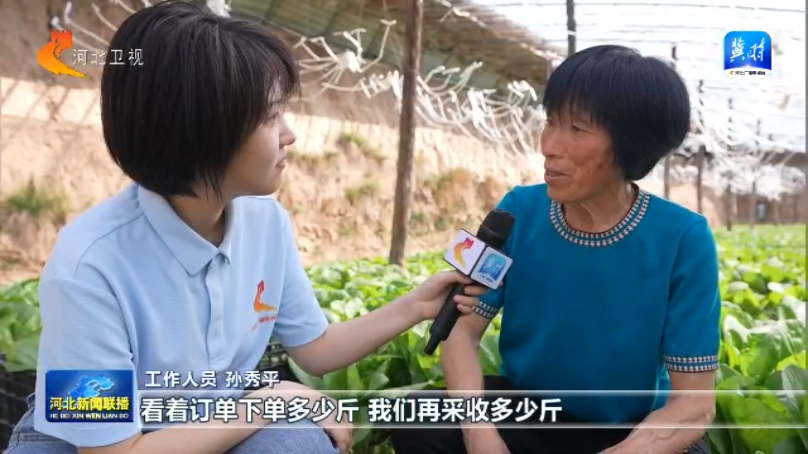 【协同发展涌新潮】㉘从田间到舌尖解锁京津冀农产品“保鲜”密码(图1)