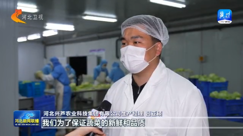 【协同发展涌新潮】㉘从田间到舌尖解锁京津冀农产品“保鲜”密码(图3)