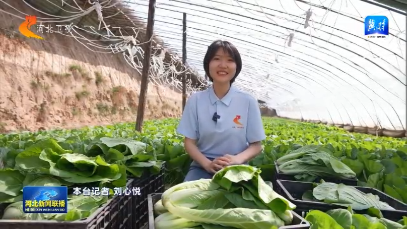 【协同发展涌新潮】㉘从田间到舌尖解锁京津冀农产品“保鲜”密码(图2)