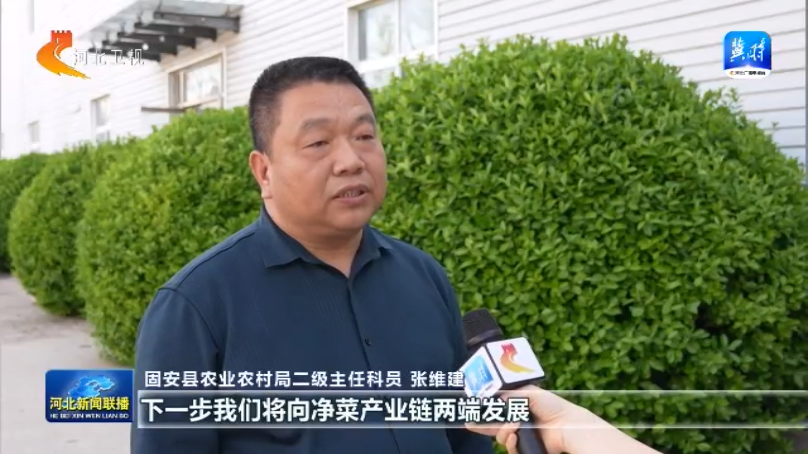 【协同发展涌新潮】㉘从田间到舌尖解锁京津冀农产品“保鲜”密码(图4)