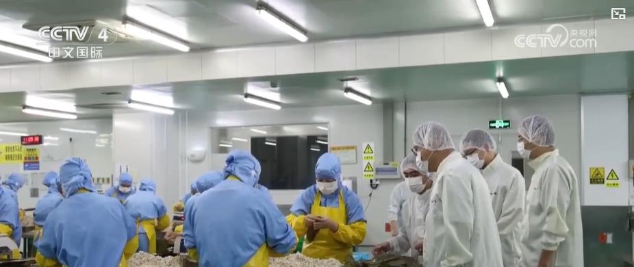 从农田到餐桌：全链条治理食品添加剂守护舌尖上的安全(图3)