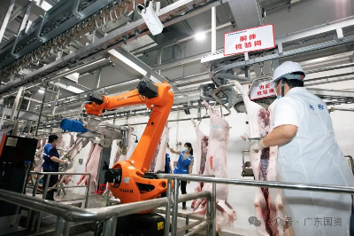 广东省人民政府国有资产监督管理委员会(图3)