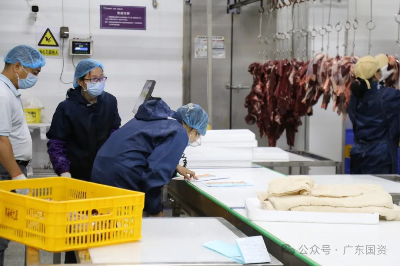 广东省人民政府国有资产监督管理委员会(图4)