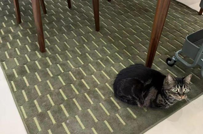 为抢特价毕利年轻人的周末闹钟响了(图6)