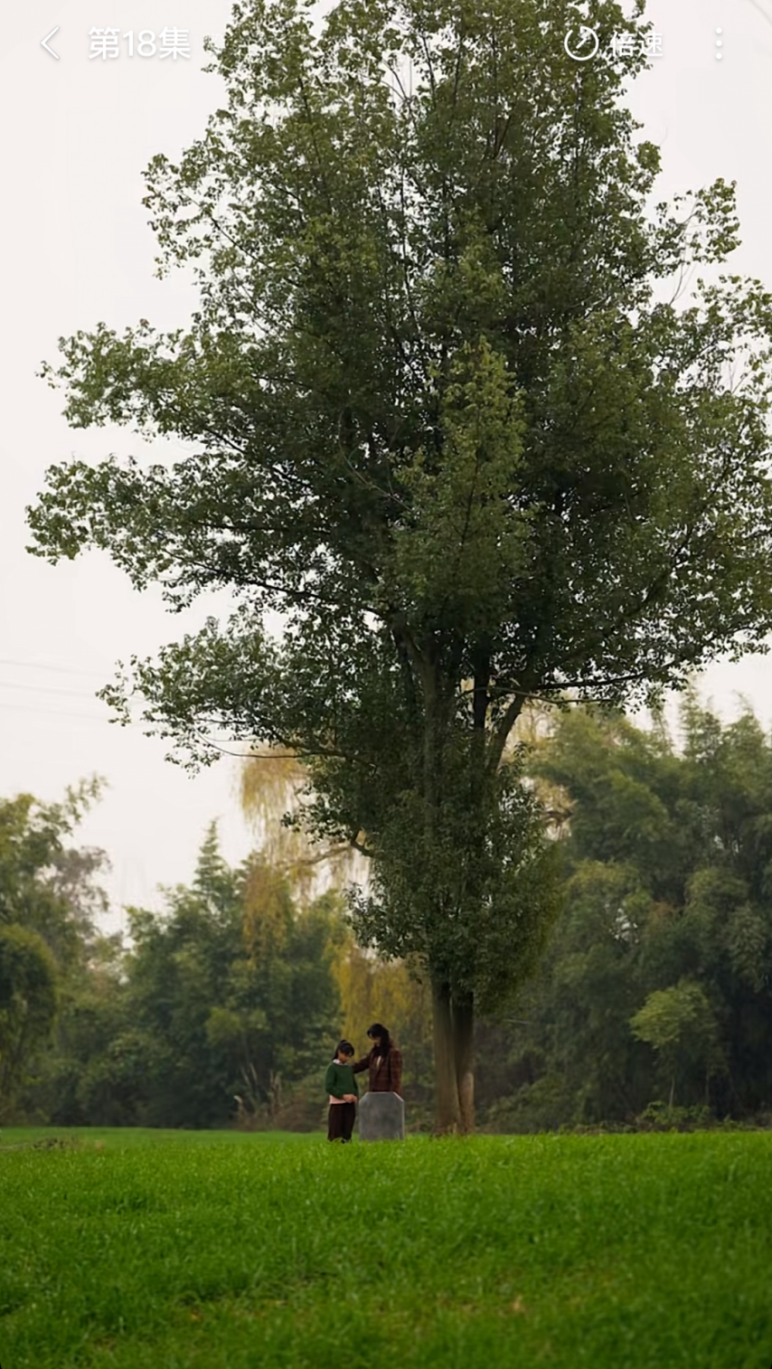 《家里家外》情怀升级精品短剧的NextLevel(图8)