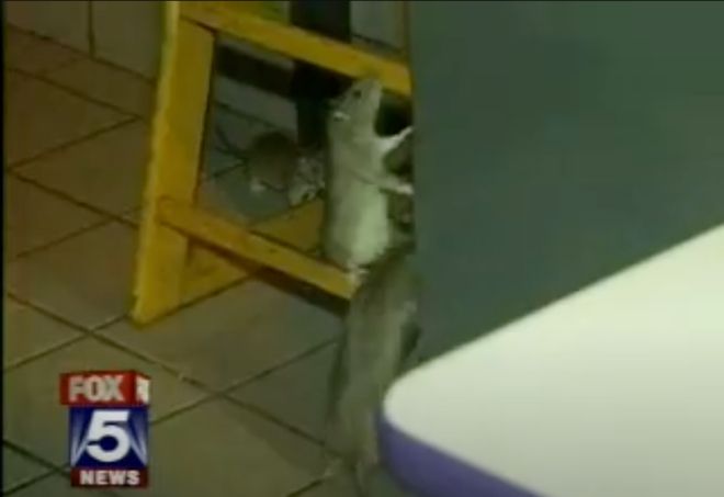 危机中的品牌承诺是马桶垫圈纸｜楚学友(图2)