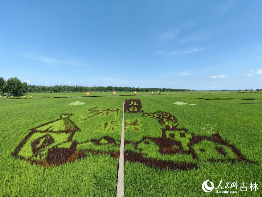 行进中国｜“皇家贡米”端上百姓餐桌(图3)