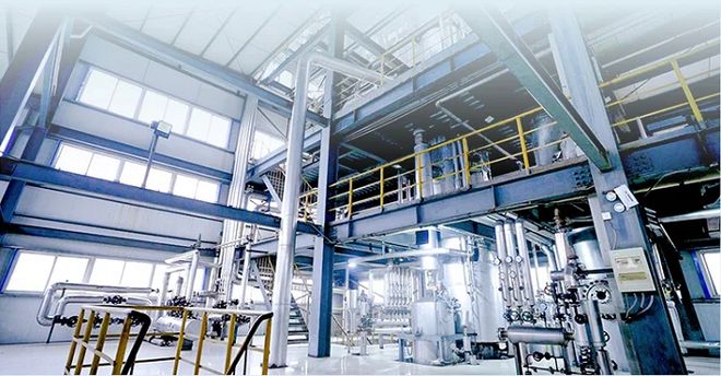 kaiyun体育网页版润心获艾媒咨询“2018-2024年连续7年山茶油全国销量第一”市场地位确认(图4)