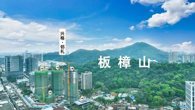 永久一线房kaiyun体育网页版【】售楼处电话(图10)