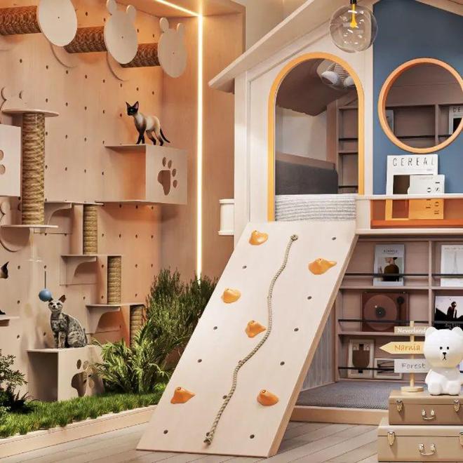 焕新登场开启亲子生活新篇章——2025七彩人生产品全新升级(图2)