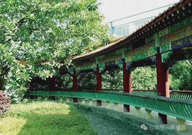 为了搞形象工程他们让孩子们站着吃饭(图3)