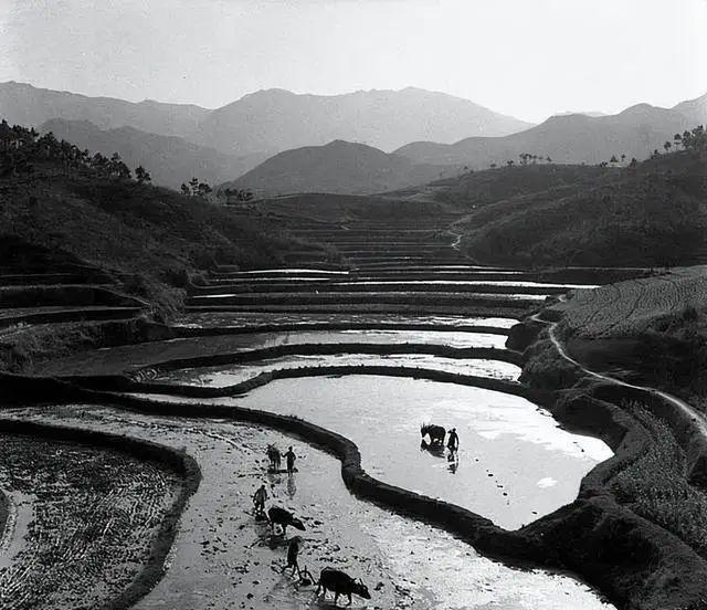 60年代的中国是什么生活水平？摄影师拍到13张照片(图12)