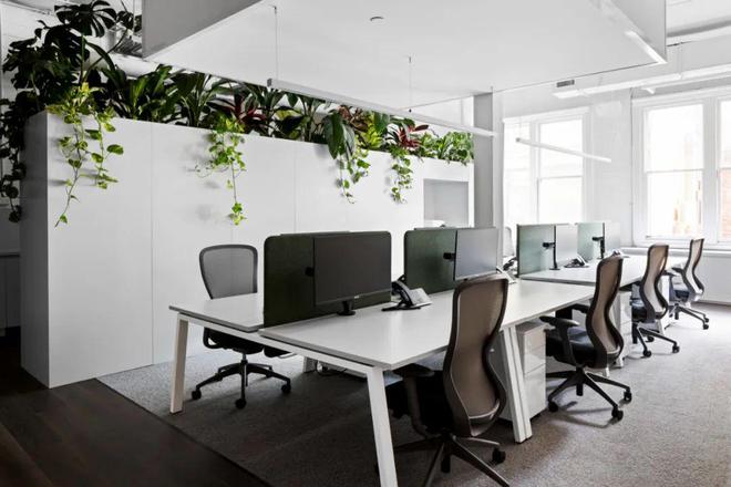 设计与艺术的交融：SignatureFloors新展厅的创意之旅(图2)