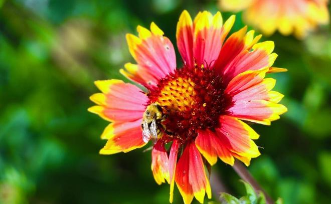 NPD人格最主要的成分是嫉妒(图2)