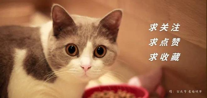 湖南株洲生病老人在银行取款时死亡事件始末(图3)