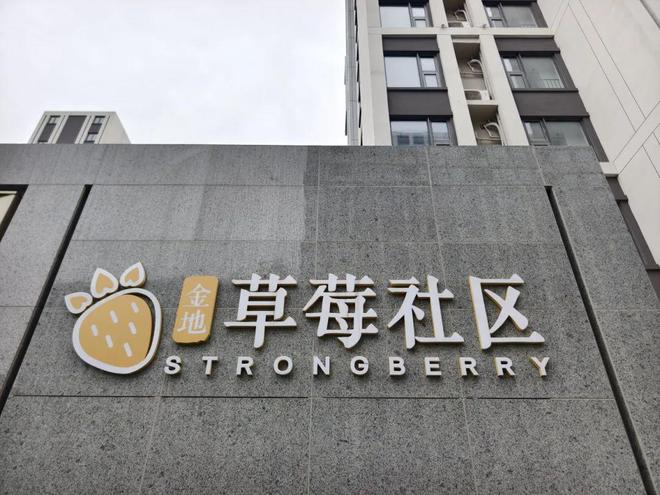 2500套保租房首期交付南大金地草莓社区点亮青年安居梦！(图1)