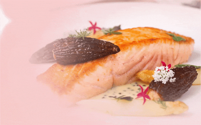 明日限定！(图6)