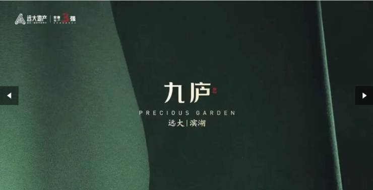 远大九庐项目户型图-优惠(图4)