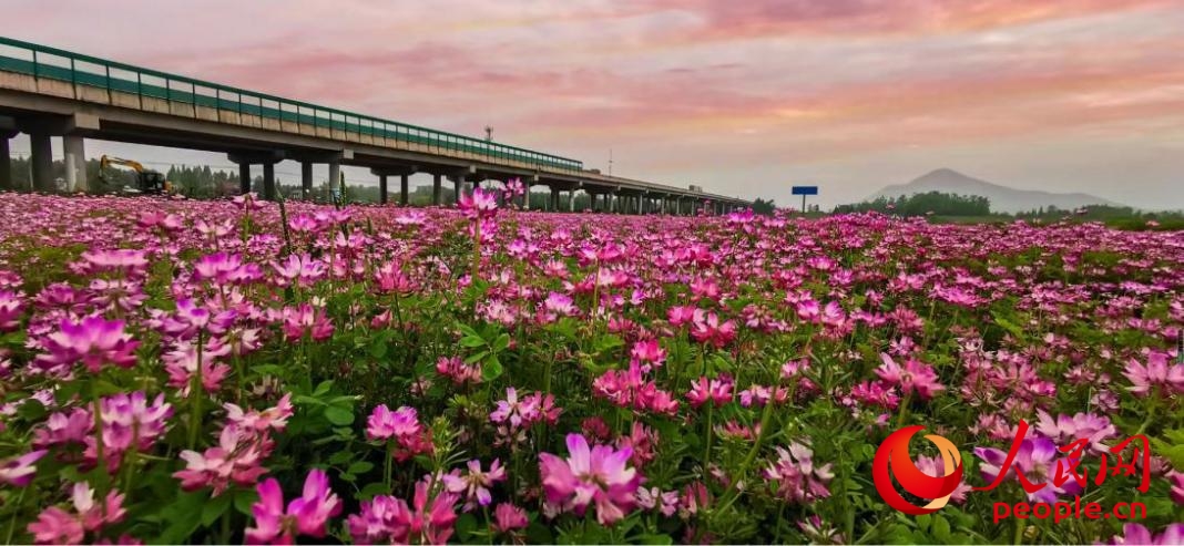 一座皖南小城的縣域經濟破局之道(图2)