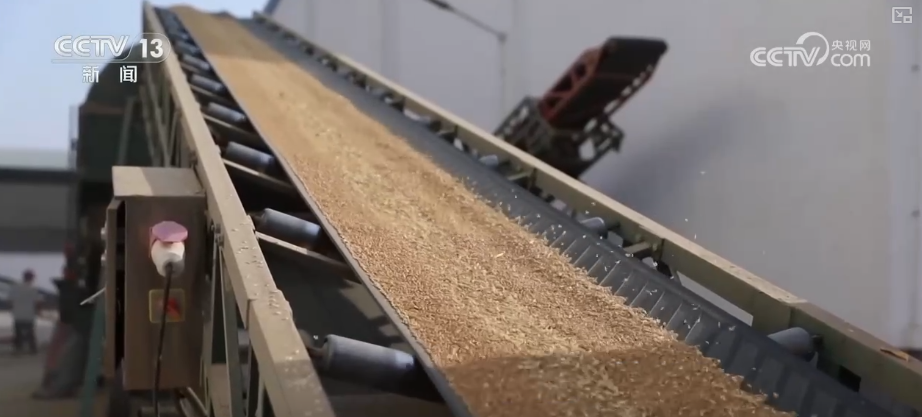 仓廪实百姓安·透过鲜活数据看中国人饭碗端得更牢餐桌更丰富(图5)