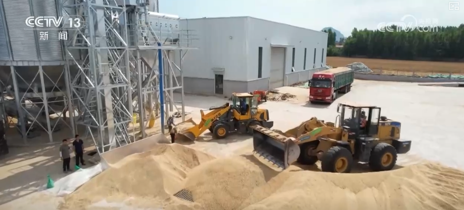 仓廪实百姓安·透过鲜活数据看中国人饭碗端得更牢餐桌更丰富(图4)