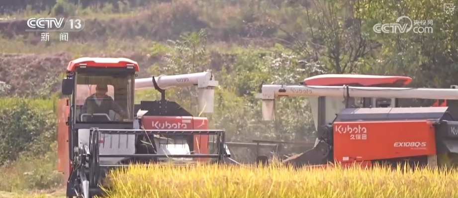 仓廪实百姓安·透过鲜活数据看中国人饭碗端得更牢餐桌更丰富(图1)