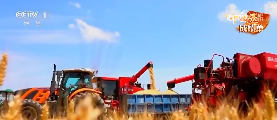 仓廪实百姓安·透过鲜活数据看中国人饭碗端得更牢餐桌更丰富(图12)