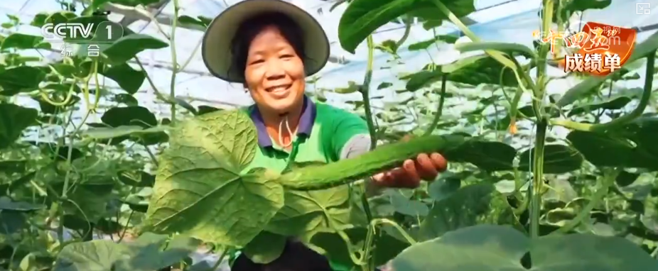 仓廪实百姓安·透过鲜活数据看中国人饭碗端得更牢餐桌更丰富(图14)