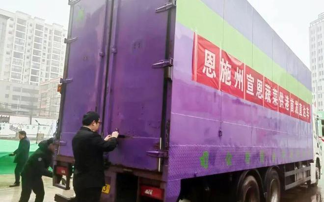 开云体育宣恩富硒蔬菜“飞”上香港市民餐桌(图1)