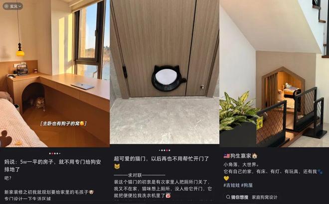 上私教、吃漂亮饭、装修适宠7689万宠物主的“溺爱经济”(图7)