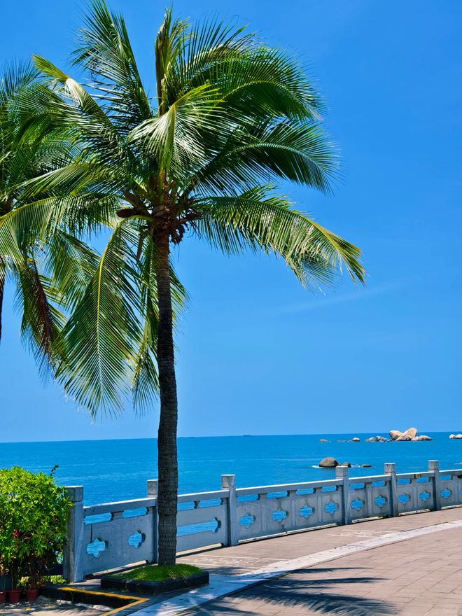 2025三亚旅行社对比：从价格到服务口碑最好的5家解析(图2)