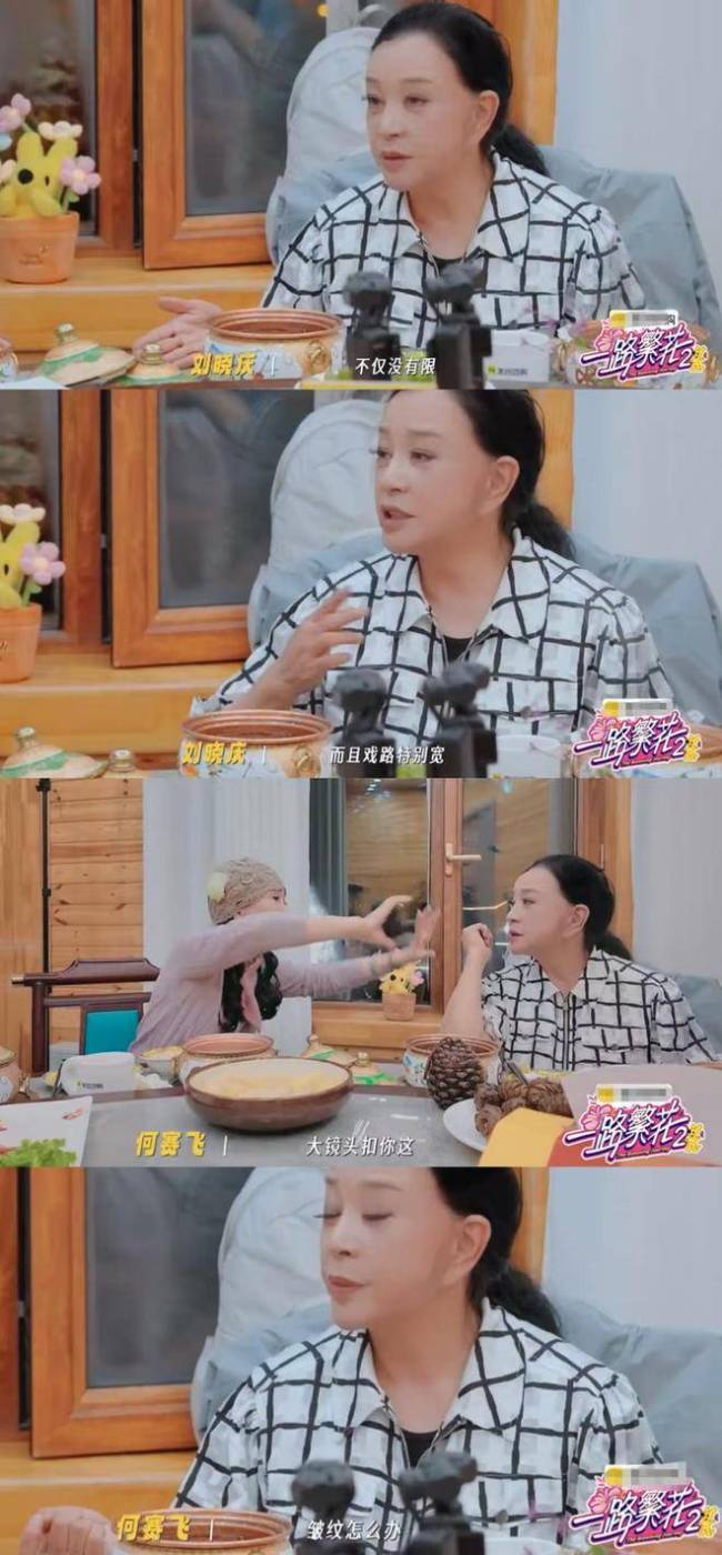 刘嘉玲问刘晓庆繁花1谁是领队餐桌上的年龄与选择辩论(图2)