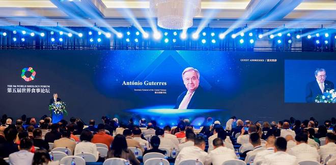 从东营家常到世界餐桌：“村长家”荣获“红厨帽”等国际荣誉(图1)