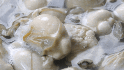 从海洋到餐桌海天蚝油的“领鲜之旅”(图4)