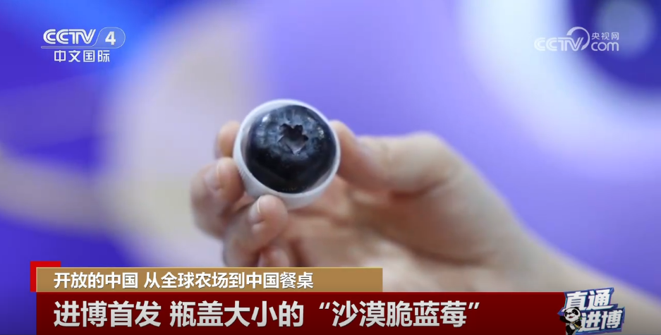 从全球农场到中国餐桌国外特色水果搭乘进博“东风”赢得市场青睐(图1)
