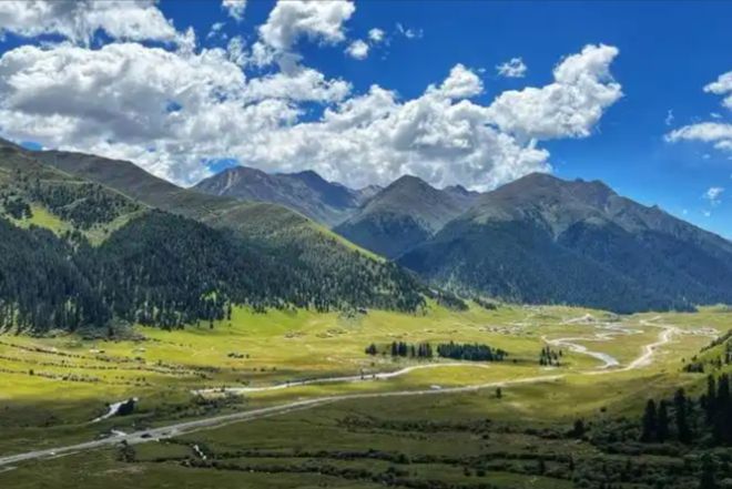 2025四川旅行社选社指南榜：口碑社夺冠游通天下成企业团首选(图4)