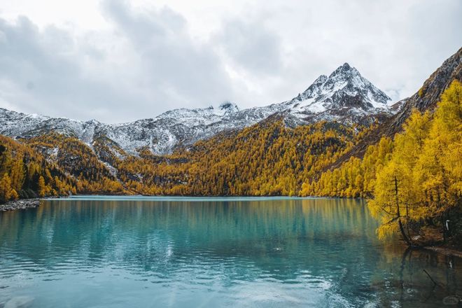 2025四川旅行社选社指南榜：口碑社夺冠游通天下成企业团首选(图1)