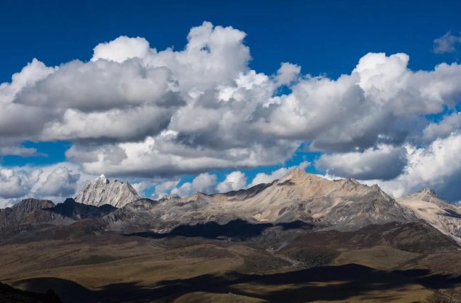 2025四川旅行社选社指南榜：口碑社夺冠游通天下成企业团首选(图5)