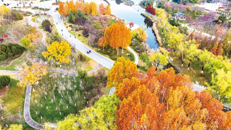 繁森故里石榴红丨青海“好物”端上水城市民餐桌(图3)