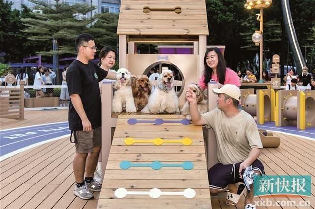 带“毛孩子”出街掀起消费热“宠物友好”经济撬动城市发展新风口(图3)