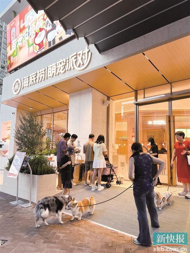 带“毛孩子”出街掀起消费热“宠物友好”经济撬动城市发展新风口(图5)
