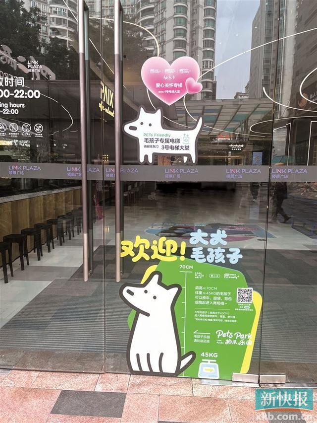 带“毛孩子”出街掀起消费热“宠物友好”经济撬动城市发展新风口(图4)