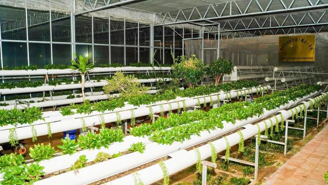 kaiyun体育全站数智赋能、场景破圈青岛农品点亮城市新“丰景”！(图3)