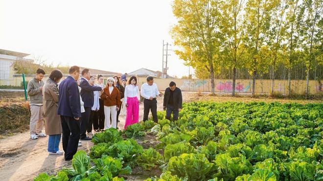 kaiyun体育全站数智赋能、场景破圈青岛农品点亮城市新“丰景”！(图16)