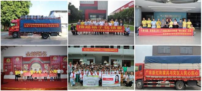 深耕30载！新红阳家居以全案实力引领家居行业新未来开云体育(图7)