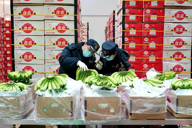 行进的海岸线全球“鲜”达中国餐桌探秘长三角“超级大冰箱”(图2)