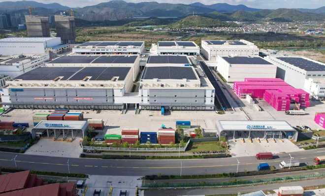 行进的海岸线全球“鲜”达中国餐桌探秘长三角“超级大冰箱”(图1)