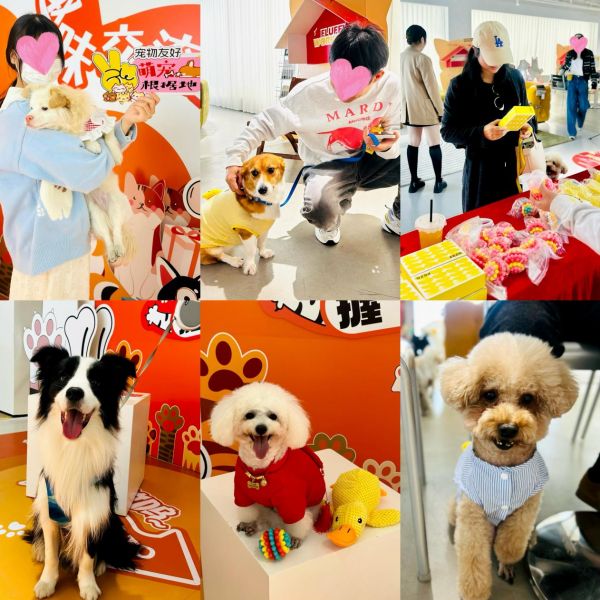 从置家刚需到生活美学！万众城家居致敬每一位城市生活家(图3)